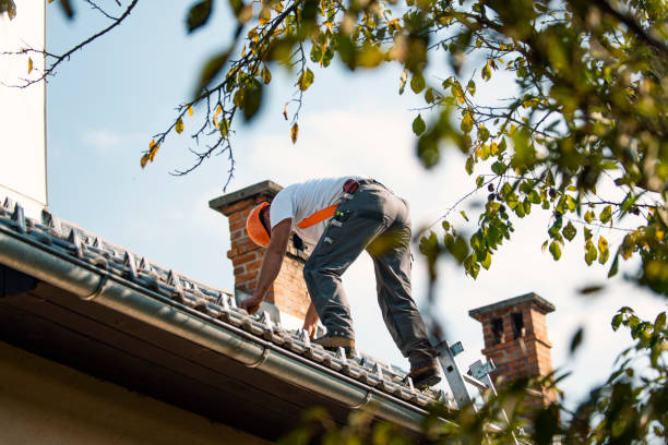 Best Metal Roofing Contractor  in Troy, TX